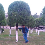  ,   , 46 ,   ,   , c 