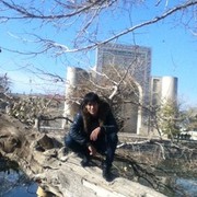 ���������� ������, ���� ������� Beka, 33 ����, ������������ ��� ������, ����� � ���������, c�������� ���������