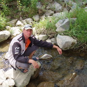 ���������� ���������, ���� ������� ���������, 42 ����, ������������ ��� ������, ����� � ���������, c�������� ���������