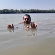 ���������� ���������, ���� ������� �����, 43 ����, ������������ ��� ������, ����� � ���������, c�������� ���������