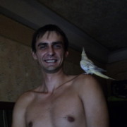  ,   , 41 ,   