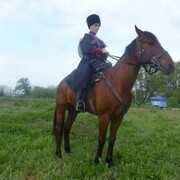  ,   Islam, 33 ,   ,   