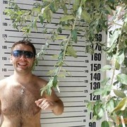  ,   Denis, 37 ,   
