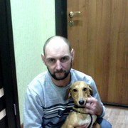  ,   , 44 ,  