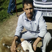  ,   , 51 ,  