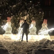 ���������� ���������, ���� ������� �����, 28 ���, ������������ ��� ������, ����� � ���������, c�������� ���������