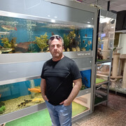 ���������� ������-��-����, ���� ������� �����, 52 ����, ������������ ��� ������, ����� � ���������