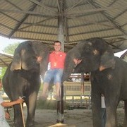 �������...