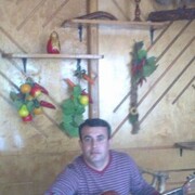  -,   , 40 ,   c 