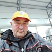  -,   , 49 ,   ,   