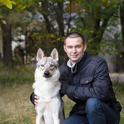 ���������� ���, ���� ������� �������, 46 ���, ������������ ��� ������, ����� � ���������, c�������� ���������, ���������