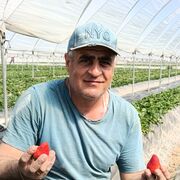 ���������� �����������, ���� ������� �����, 47 ���, ������������ ��� ������, ����� � ���������, c�������� ���������