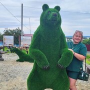  ,   , 44 ,     , c , 