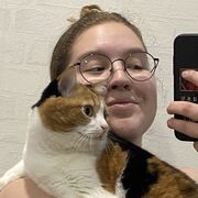  ,   , 28 ,   