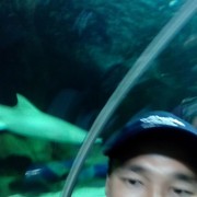  ,   , 44 ,   
