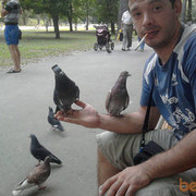  ,   , 43 ,   