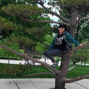 ���������� ������, ���� ������� �����, 84 ����, ������������ ��� ������, ����� � ���������