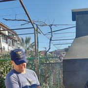  ,   , 46 ,  