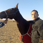  ,   Darxan, 44 ,   ,   , c 
