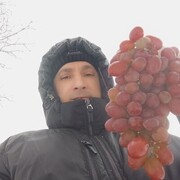 ���������� �����, ���� ������� �����, 31 ���, ������������ ��� ������, ����� � ���������