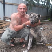 ���������� �����������, ���� ������� �������, 50 ���, ������������ ��� ������, ����� � ���������, c�������� ���������