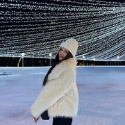 ���������� ����, ���������