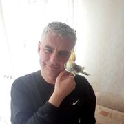 ���������� �����-���������, ���� ������� �����, 45 ���, ������������ ��� c�������� ���������