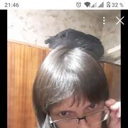  ,   , 32 ,   