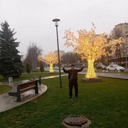 ���������� ������, ���� ������� ��������, 49 ���, ������������ ��� ������, ����� � ���������