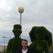 ���������� ����, ���� ������� ����������, 44 ����, ������������ ��� ����� � ���������, c�������� ���������