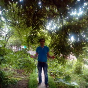   ,   , 41 ,  