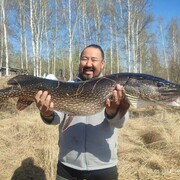 ���������� ������, ���� ������� ���������, 43 ����, ������������ ��� ������, ����� � ���������