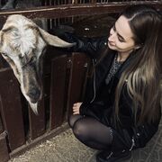  ,   , 28 ,   