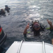 ��������� ���������