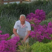  ,   , 65 ,  
