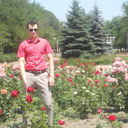 ���������� ���������, ���� ������� �������, 37 ���, ������������ ��� ������, ����� � ���������, c�������� ���������