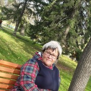  -,   , 65 ,  