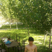  ,   Fayz, 33 ,     , c 