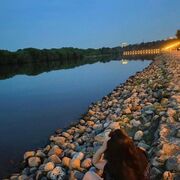 ���������� ������, ���� ������� ����, 23 ����, ������������ ��� ������, ����� � ���������, c�������� ���������