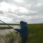  ,   Nargozin, 44 ,   