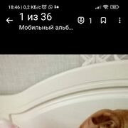 ���������� ����������, ���� ������� ���������, 55 ���, ������������ ��� ����� � ���������, c�������� ���������, ���������