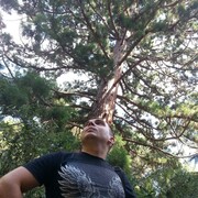 ���������� �����������, ���� ������� ������, 39 ���, ������������ ��� ������, ����� � ���������, c�������� ���������