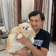 ���������� ������, ������� �����, 47