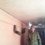 ���������� ������, ���� ������� ����, 29 ���, ������������ ��� ������, ����� � ���������