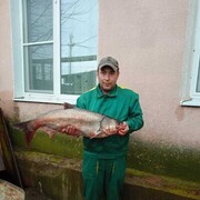 ���������� ���������, ���� ������� ����, 40 ���, ������������ ��� c�������� ���������