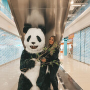 ���������� ����, ���� ������� ����, 36 ���, ������������ ��� ����� � ���������, c�������� ���������, ���������