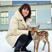 ���������� ��������, ���� ������� �����, 52 ����, ������������ ��� ����� � ���������, c�������� ���������, ���������