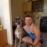 ���������� �������, ���� ������� ����, 43 ����, ������������ ��� ������, ����� � ���������