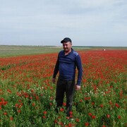 ���������� ����������, ������� �����, 43