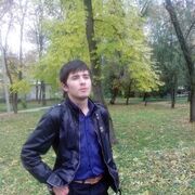 ���������� ��������, ������� ���������, 31